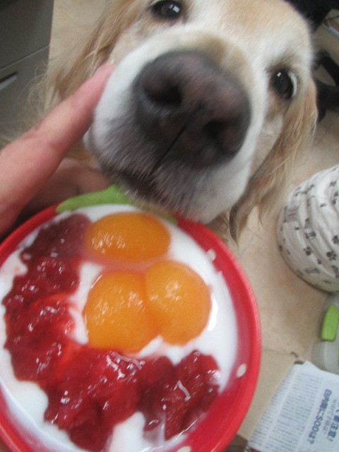 ファイル 3691-5.jpg