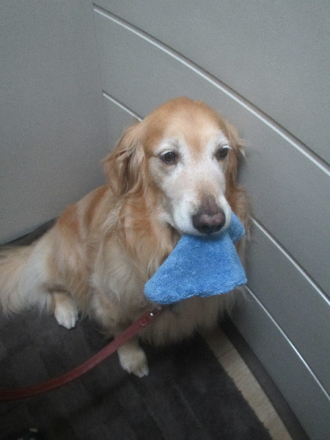 ファイル 3693-1.jpg