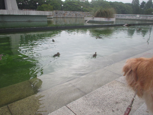 ファイル 3693-4.jpg