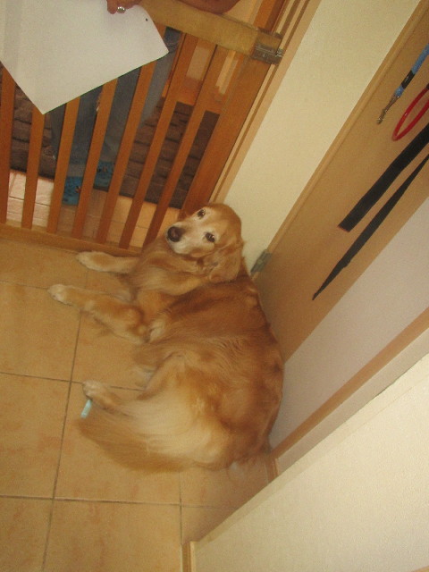 ファイル 3694-2.jpg