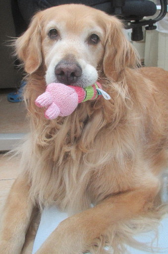 ファイル 3694-3.jpg