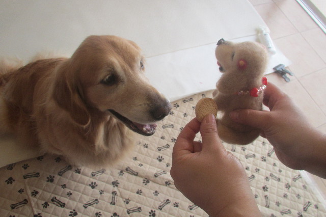 ファイル 3694-5.jpg