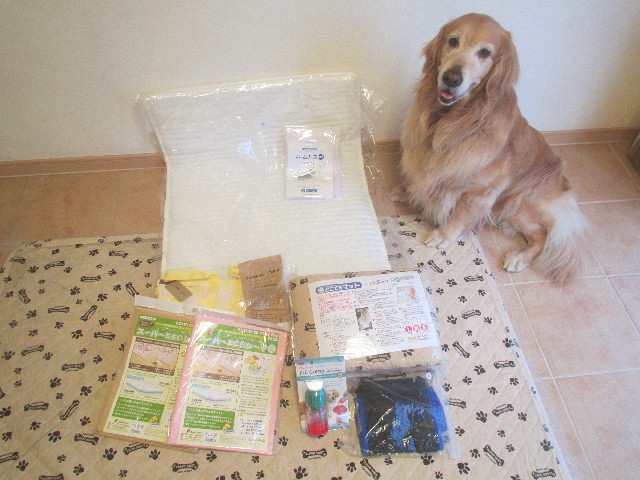 ファイル 3695-3.jpg