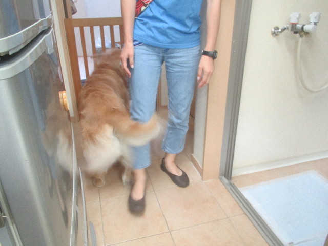 ファイル 3698-2.jpg