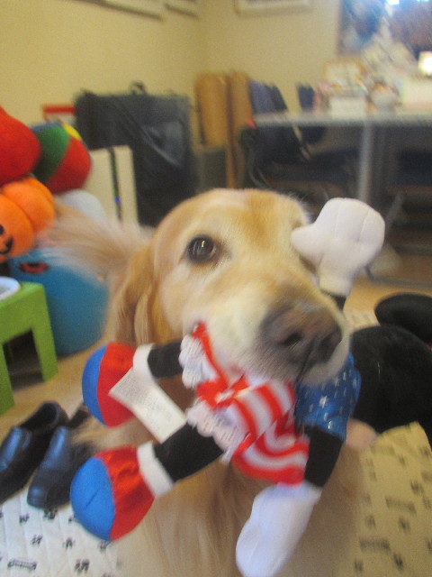 ファイル 3698-4.jpg