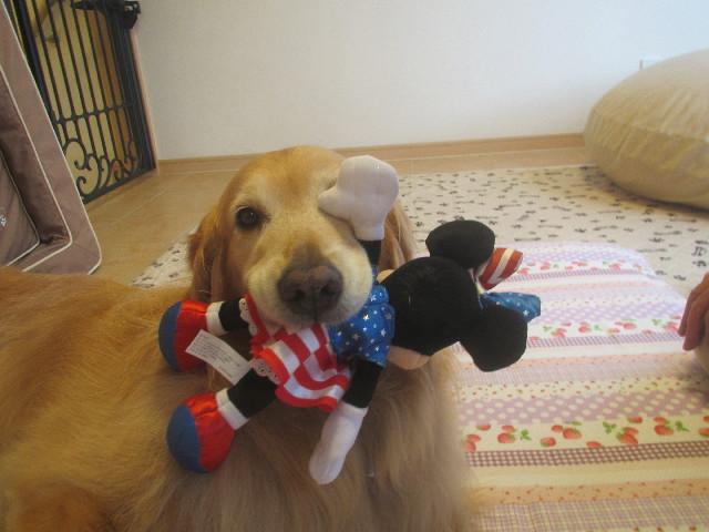 ファイル 3698-5.jpg