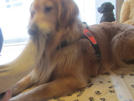 ファイル 3699-3.jpg