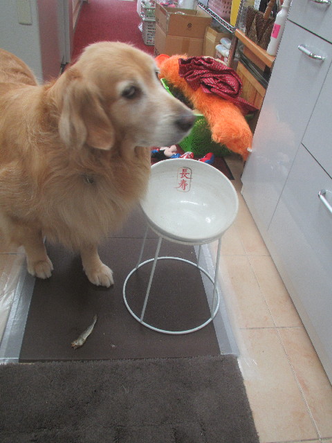 ファイル 3700-1.jpg