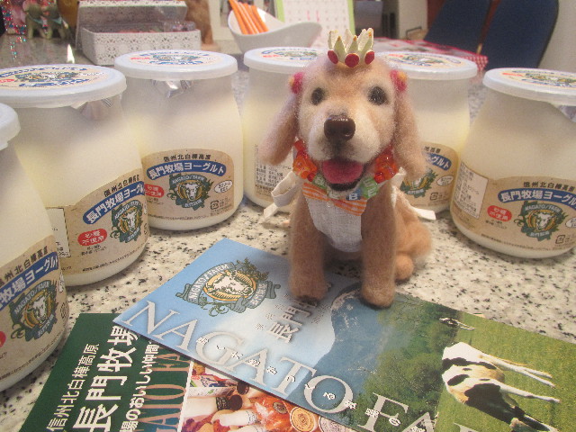 ファイル 3700-3.jpg