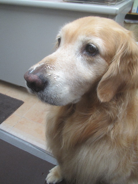 ファイル 3700-5.jpg