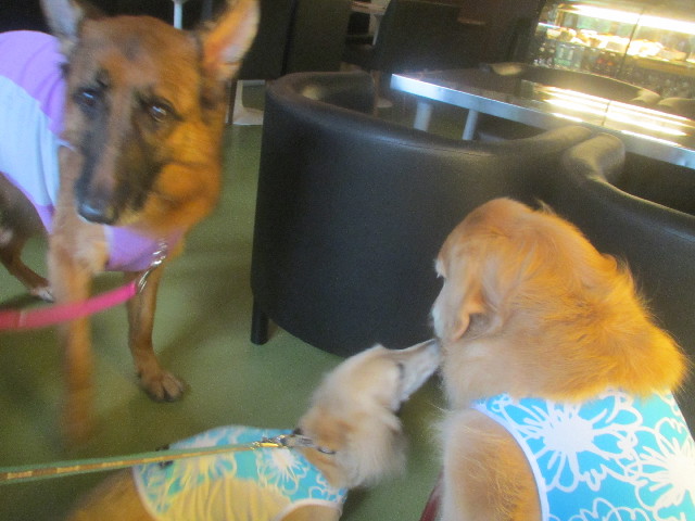 ファイル 3701-1.jpg