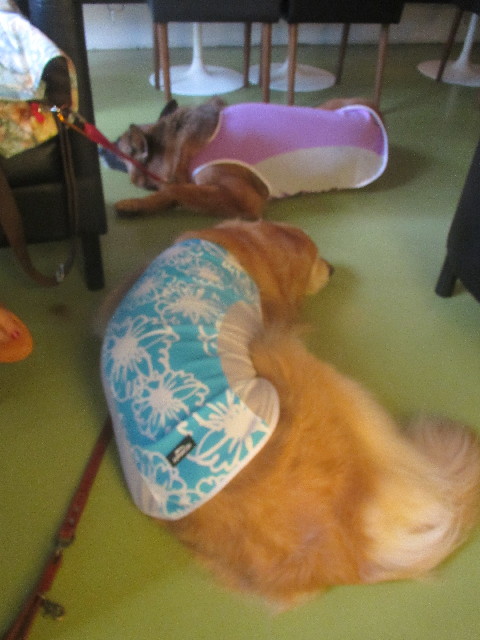 ファイル 3701-2.jpg