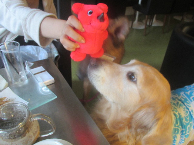 ファイル 3701-3.jpg