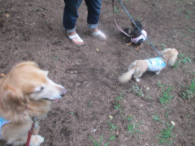 ファイル 3701-4.jpg