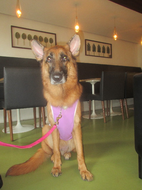 ファイル 3701-5.jpg