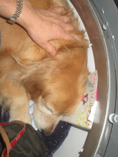 ファイル 3702-4.jpg