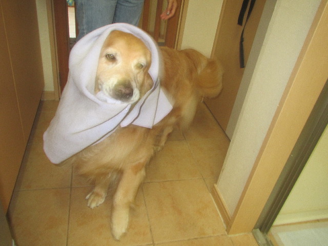 ファイル 3704-1.jpg