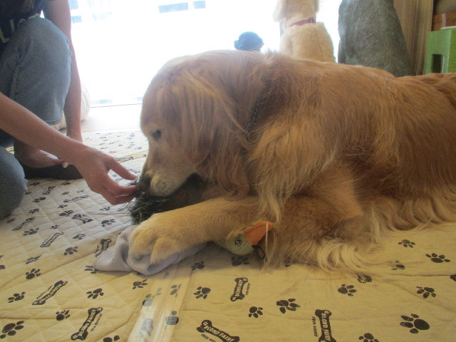 ファイル 3704-2.jpg