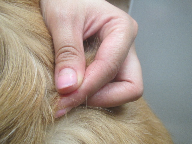 ファイル 3704-5.jpg