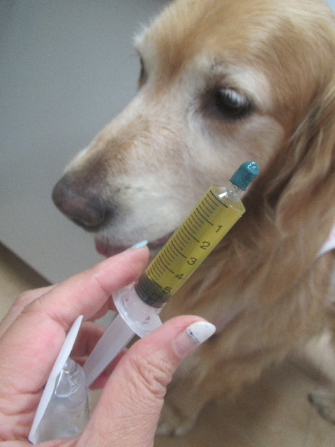 ファイル 3705-3.jpg