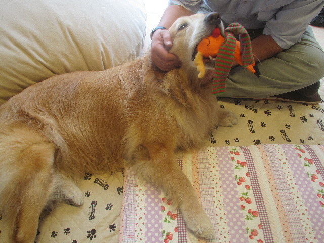 ファイル 3705-4.jpg