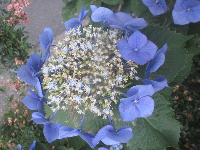 ファイル 3707-3.jpg