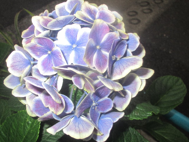 ファイル 3707-5.jpg