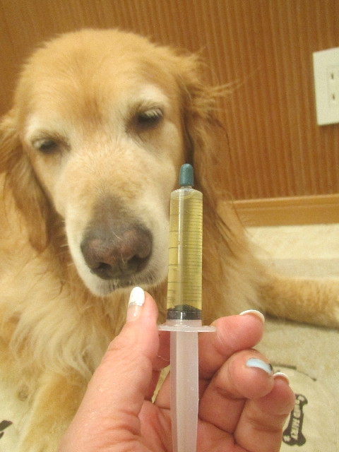 ファイル 3709-1.jpg