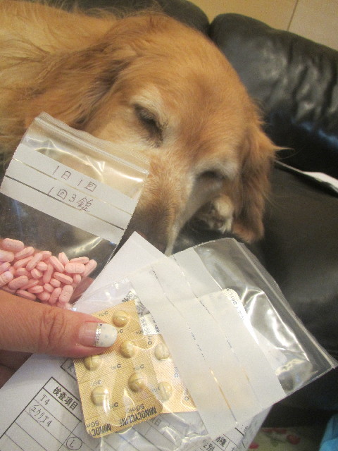 ファイル 3709-3.jpg