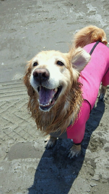 ファイル 3709-4.jpg