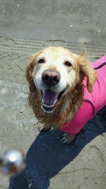 ファイル 3709-5.jpg