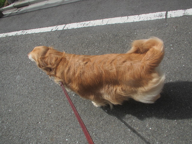 ファイル 3710-1.jpg