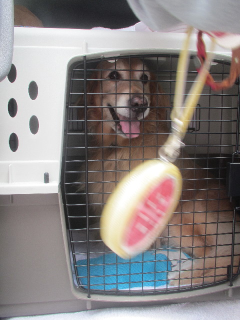 ファイル 3710-4.jpg