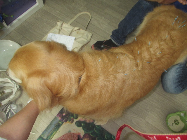 ファイル 3711-1.jpg