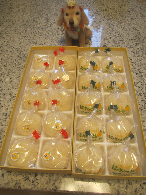 ファイル 3711-3.jpg