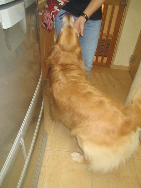 ファイル 3712-1.jpg