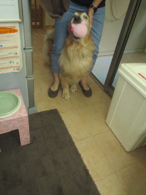 ファイル 3712-2.jpg