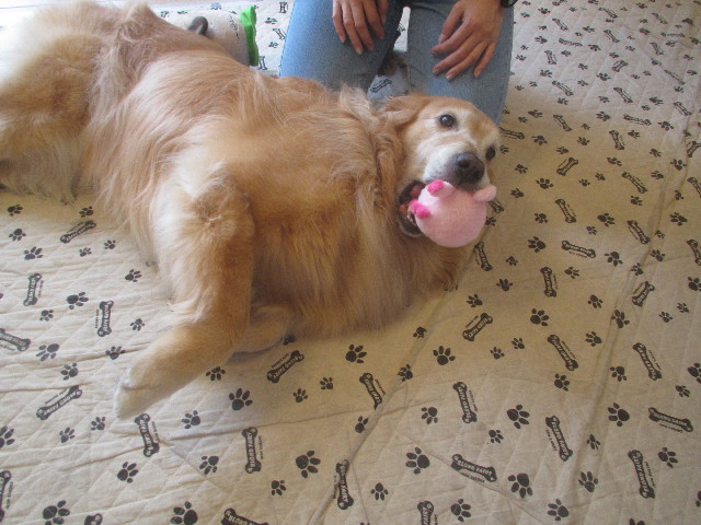 ファイル 3712-3.jpg