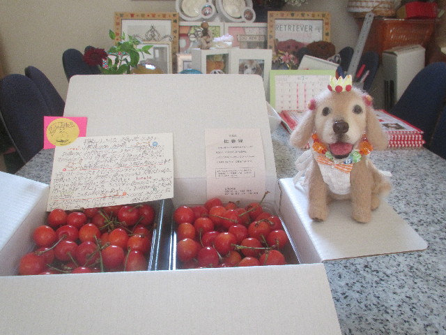 ファイル 3713-1.jpg