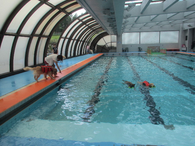 ファイル 3715-1.jpg