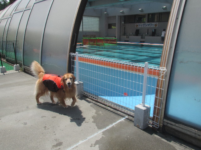 ファイル 3715-4.jpg