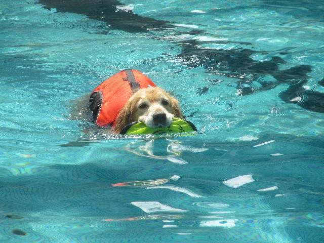 ファイル 3715-5.jpg