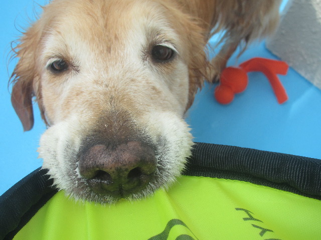 ファイル 3719-1.jpg