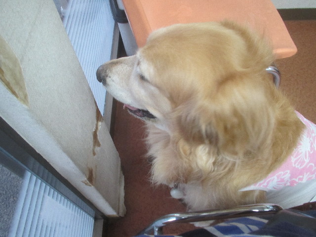 ファイル 3720-2.jpg