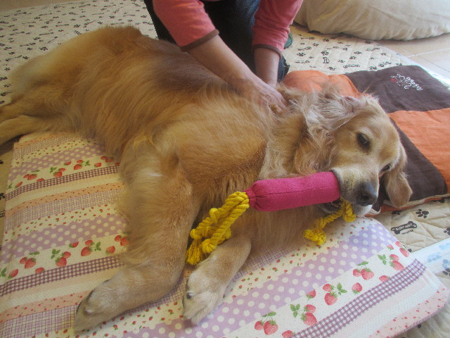 ファイル 3722-2.jpg