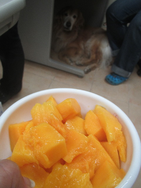 ファイル 3723-3.jpg