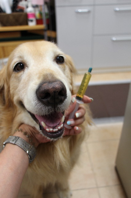 ファイル 3726-1.jpg