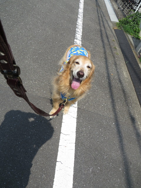 ファイル 3729-2.jpg