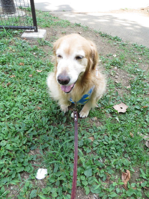 ファイル 3729-3.jpg