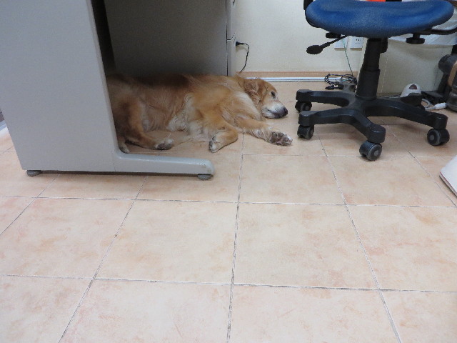 ファイル 3731-2.jpg